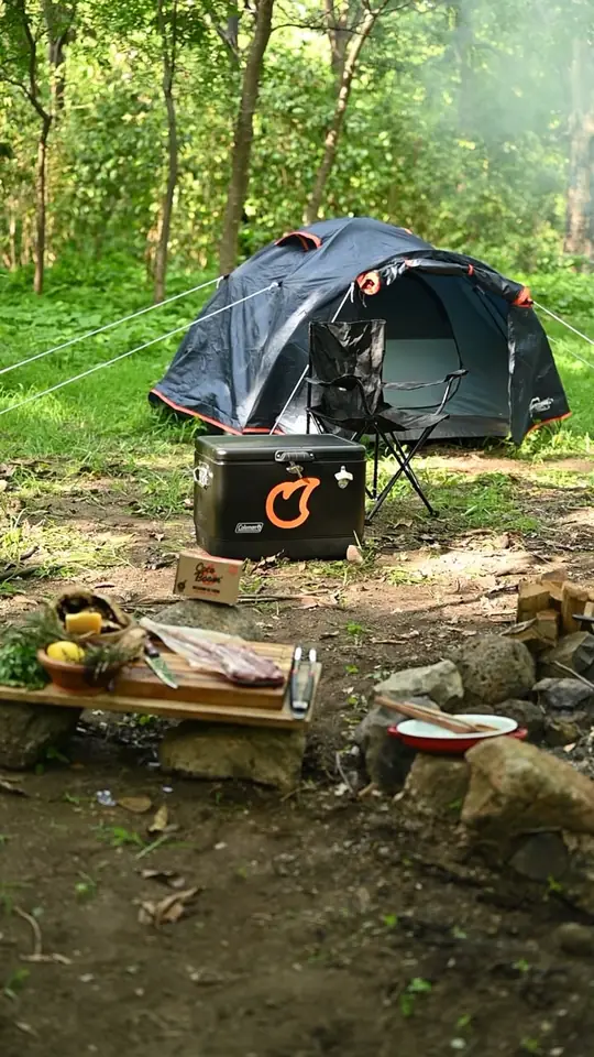 Carpa en el bosque junto a una estación de energía portátil